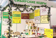 Сосновый бор 