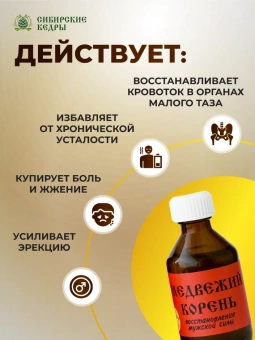 Медвежий корень