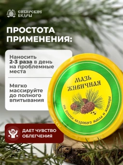 Мазь живичная