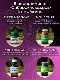 Монарда двойчатая