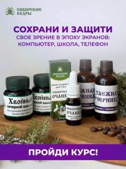 Таёжная черника